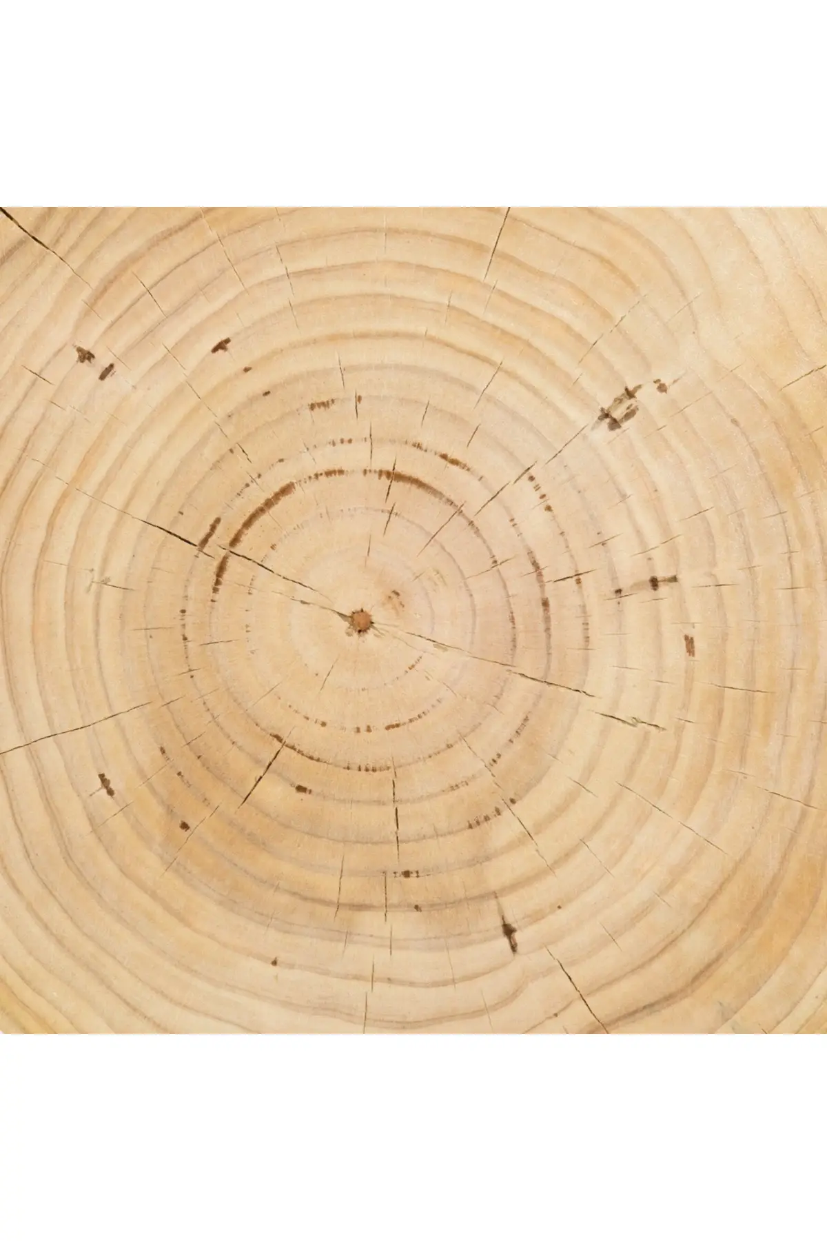 Aliza End Table - Image 12