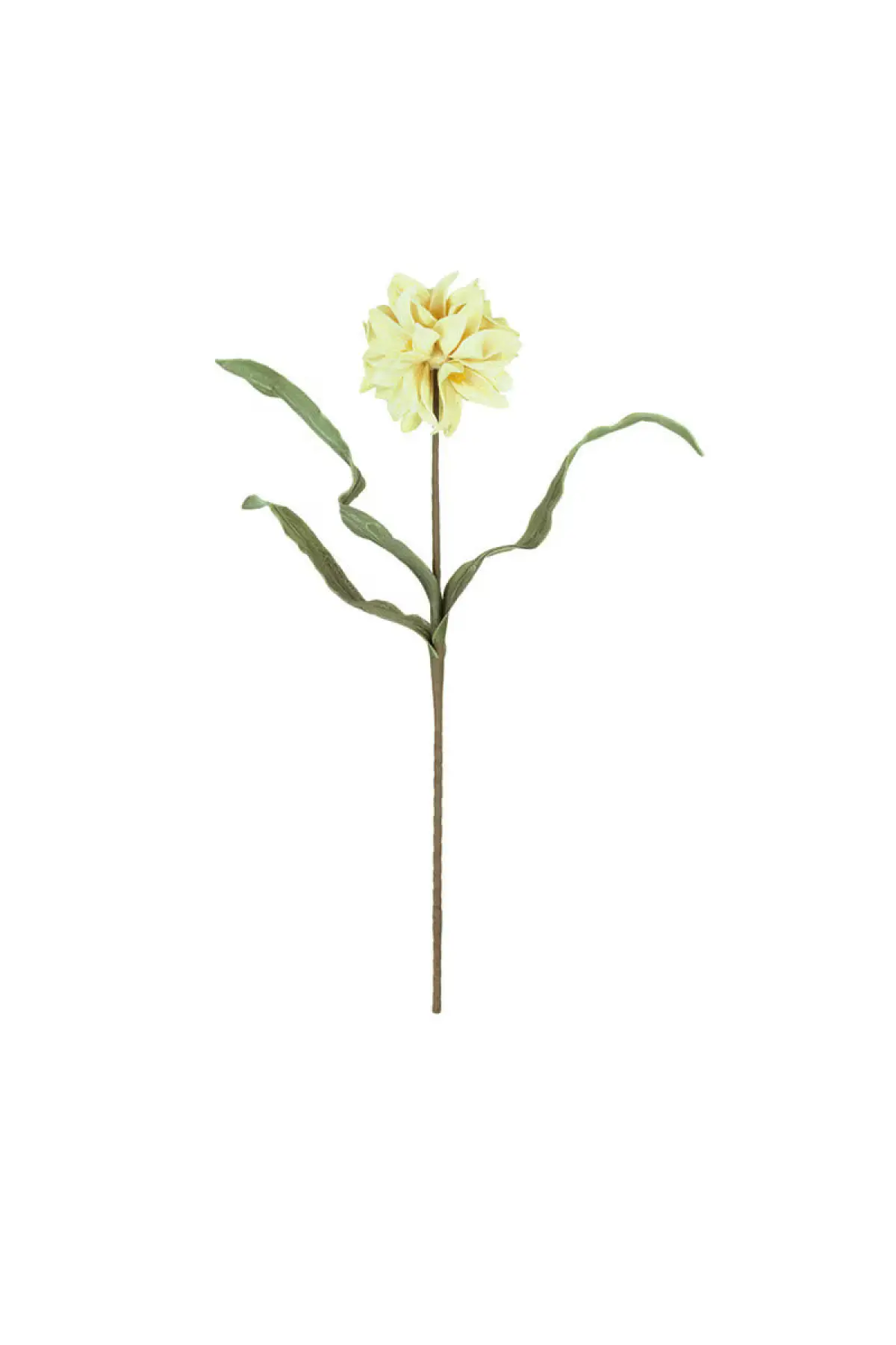 Josie Flower Stem Bundle - Image 3