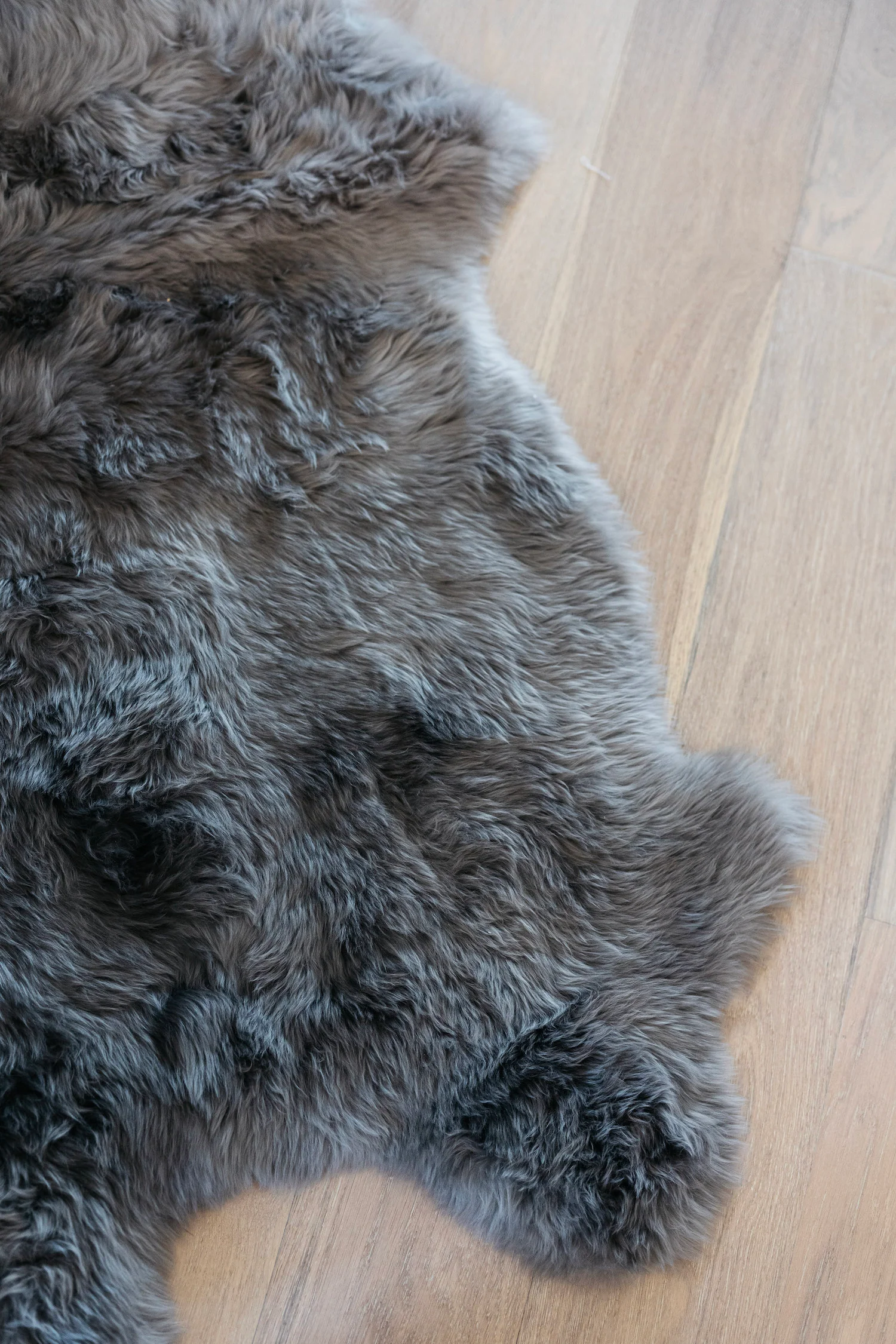 Lalo Ombre Rug - Image 7