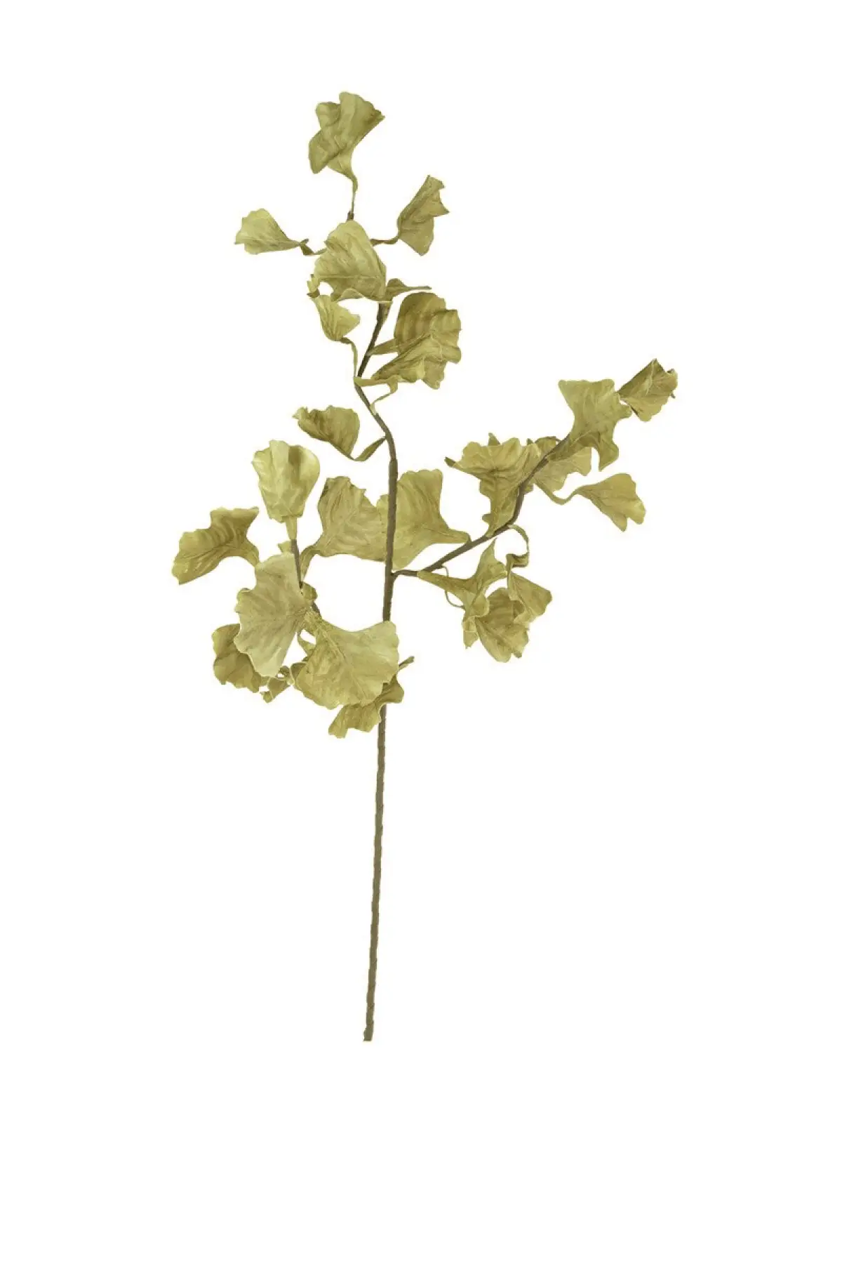 Marty Botanica Spray Bundle - Image 3