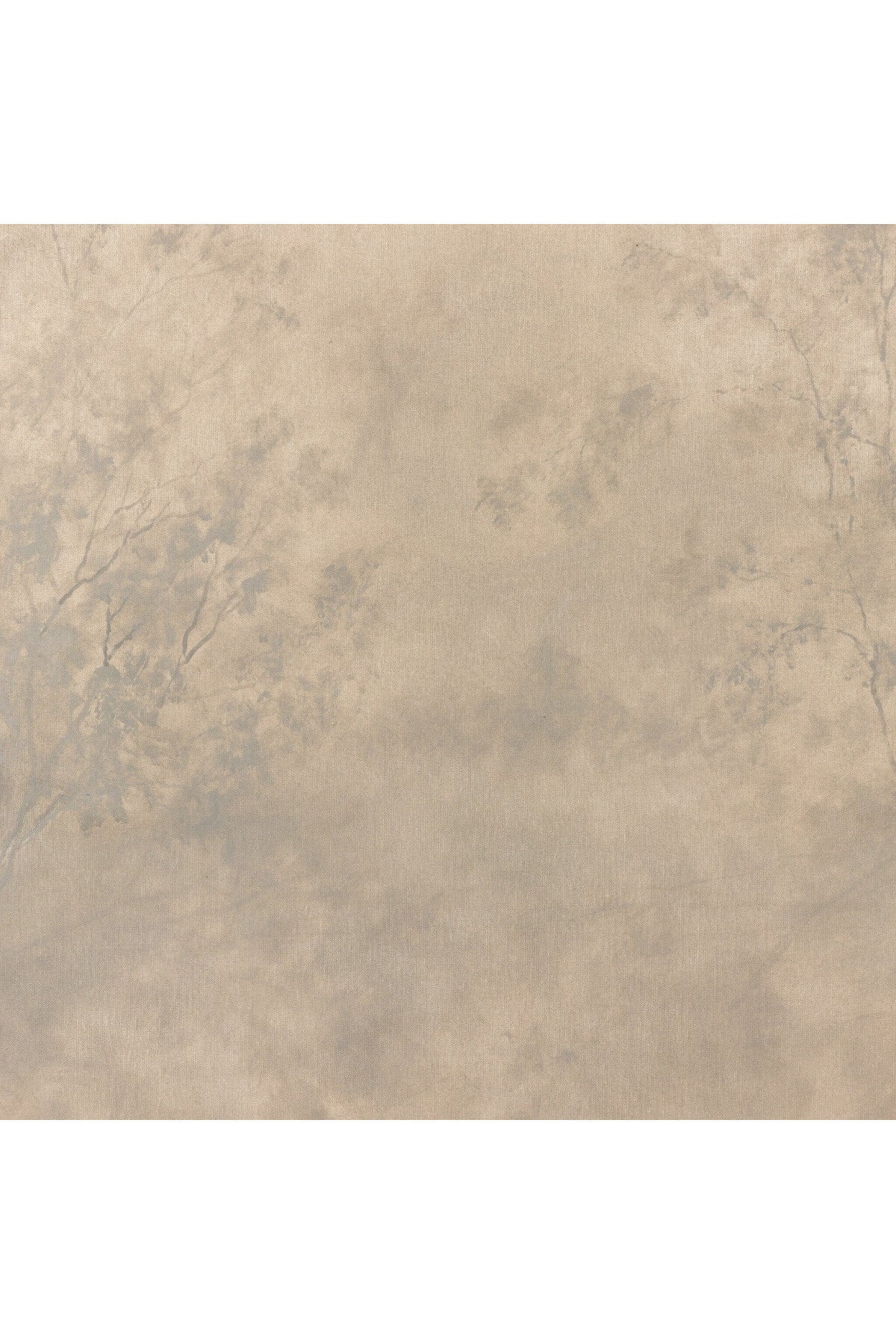 The Clearing Wall Art by Aileen Fitzgerald - Image 4