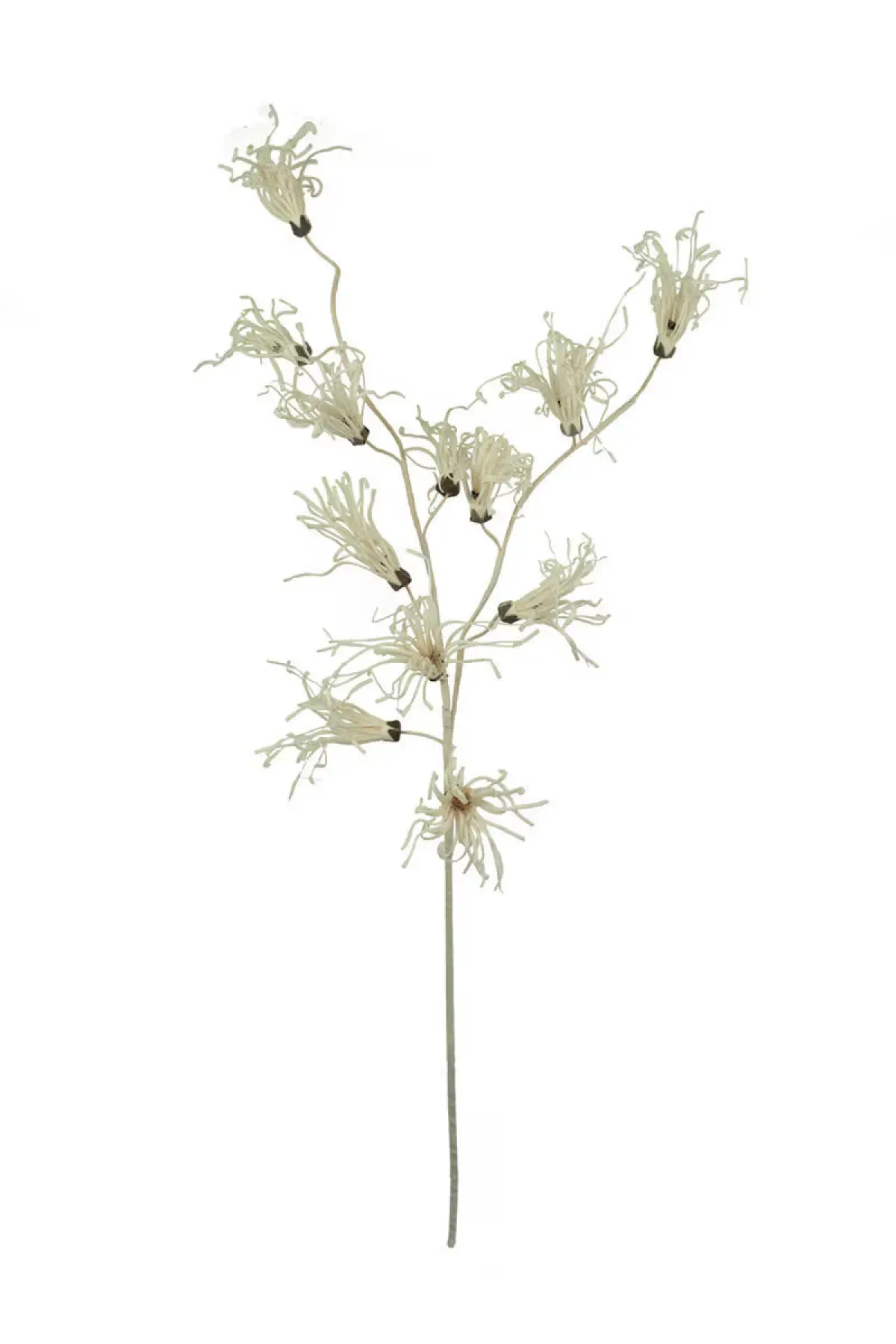 Wanda Spray Bundle - Image 3